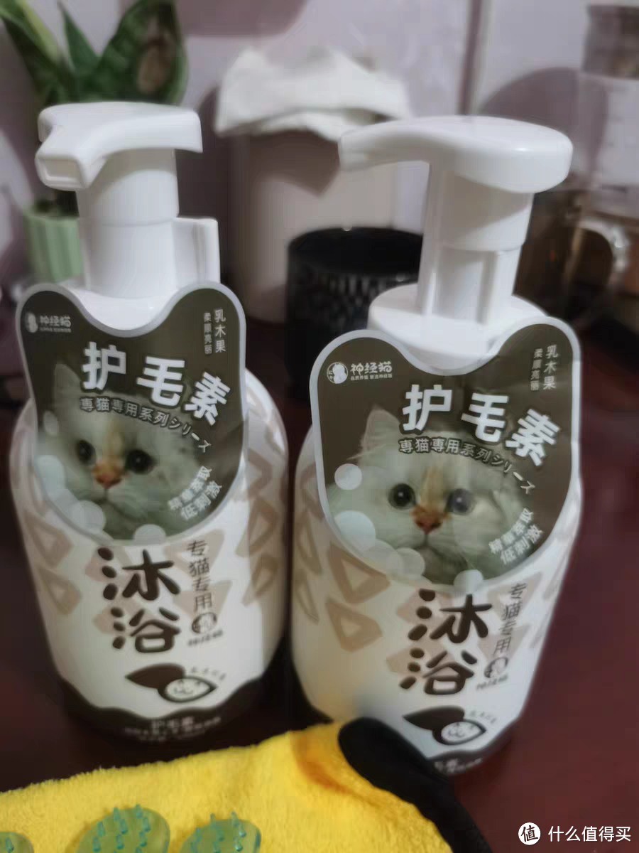 给小猫洗澡的时候还得用护毛素