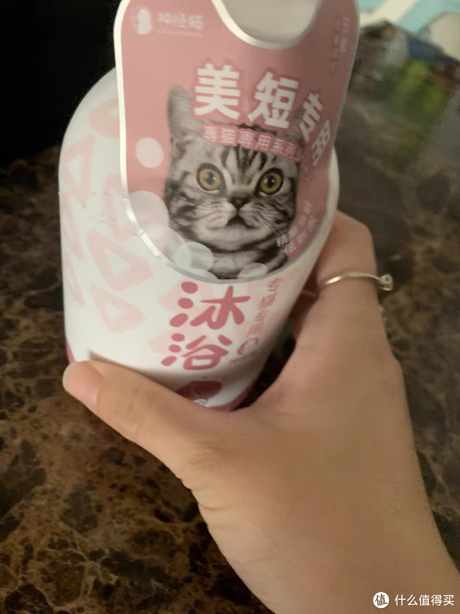 洗呀洗呀洗澡澡，给小猫洗澡了