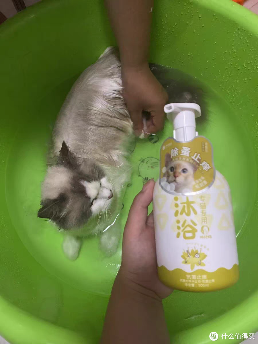 抗菌止痒的猫咪沐浴露