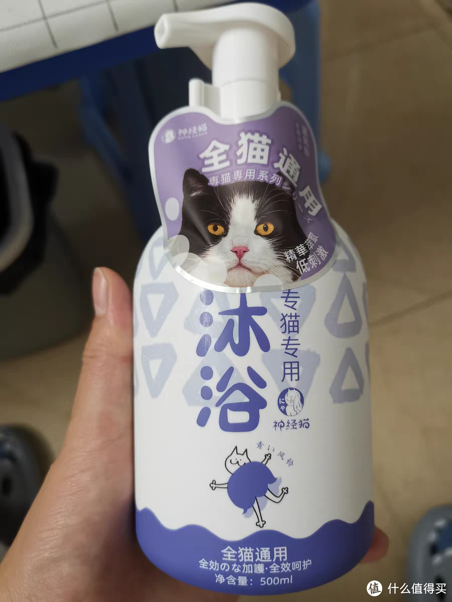 乡村小猫也得好好洗洗澡