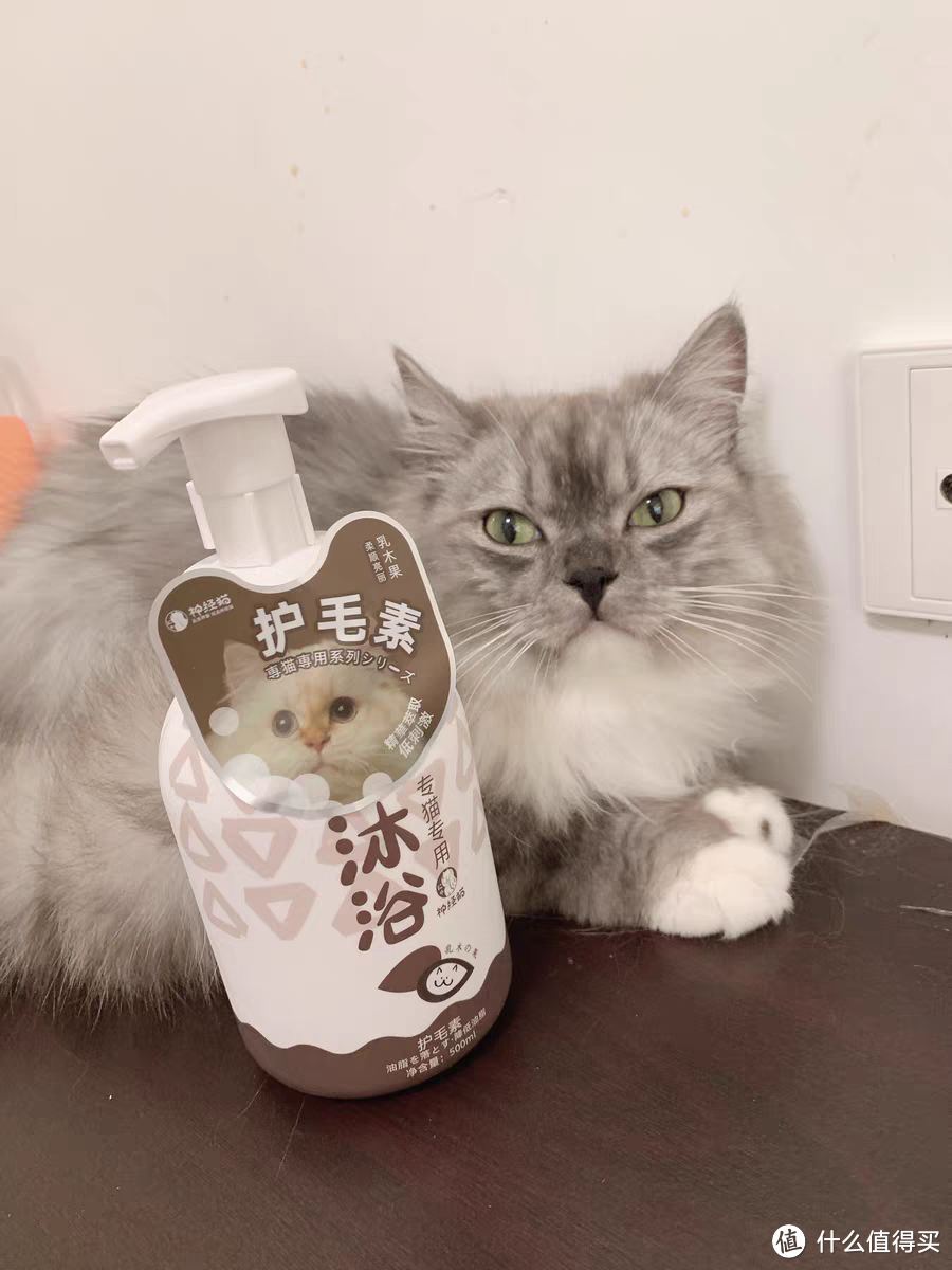 沐浴露加护毛素，猫毛更蓬松