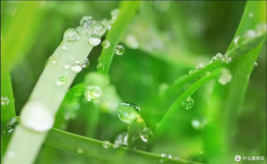 “谷雨不吃青,双眼冒金星”,4月19日谷雨有啥讲究?