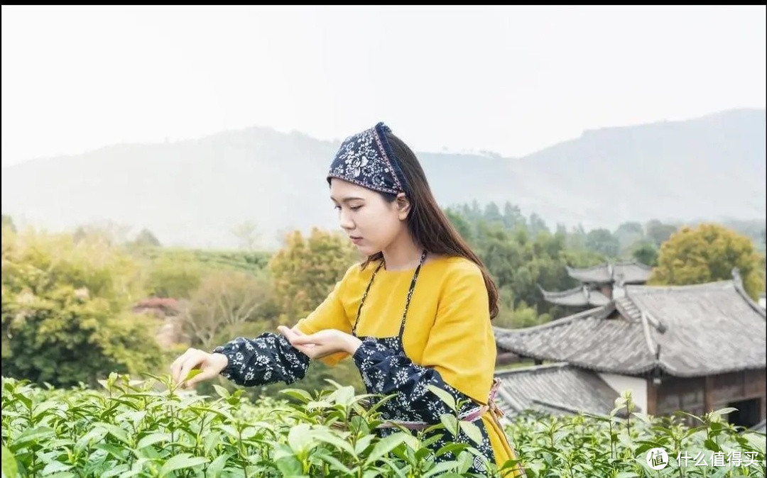 “谷雨不吃青,双眼冒金星”,4月19日谷雨有啥讲究?