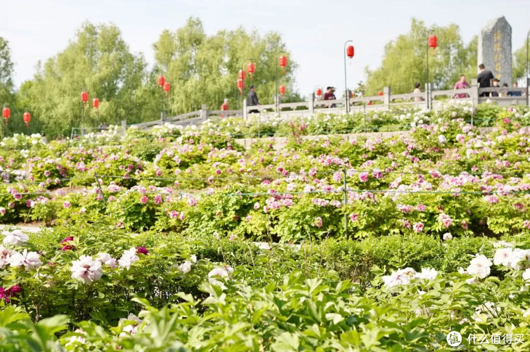 诚不欺我！这是4月最值得去的城市！