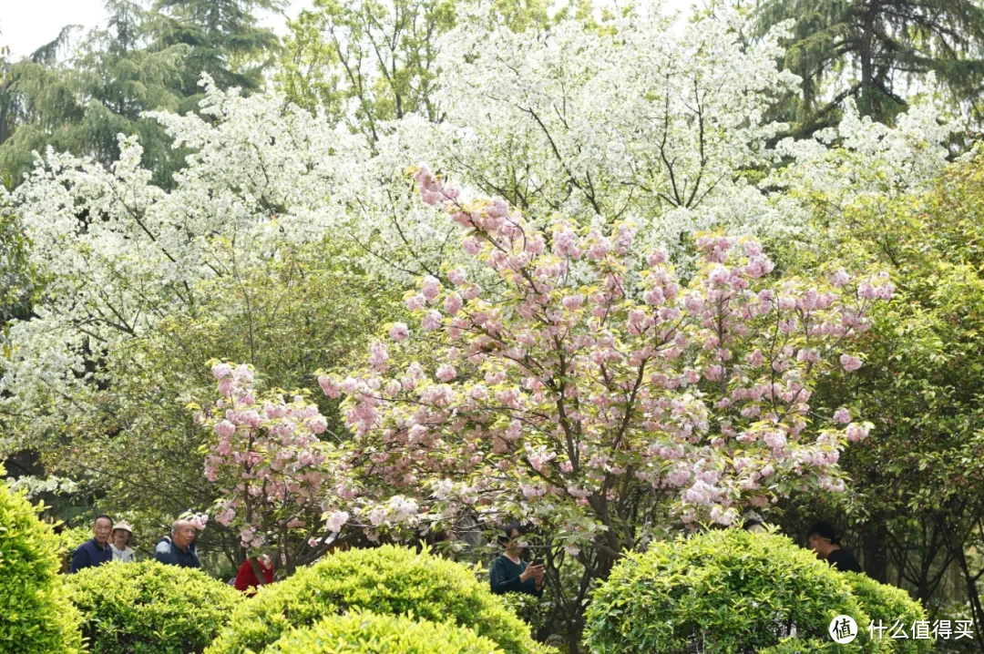 诚不欺我！这是4月最值得去的城市！