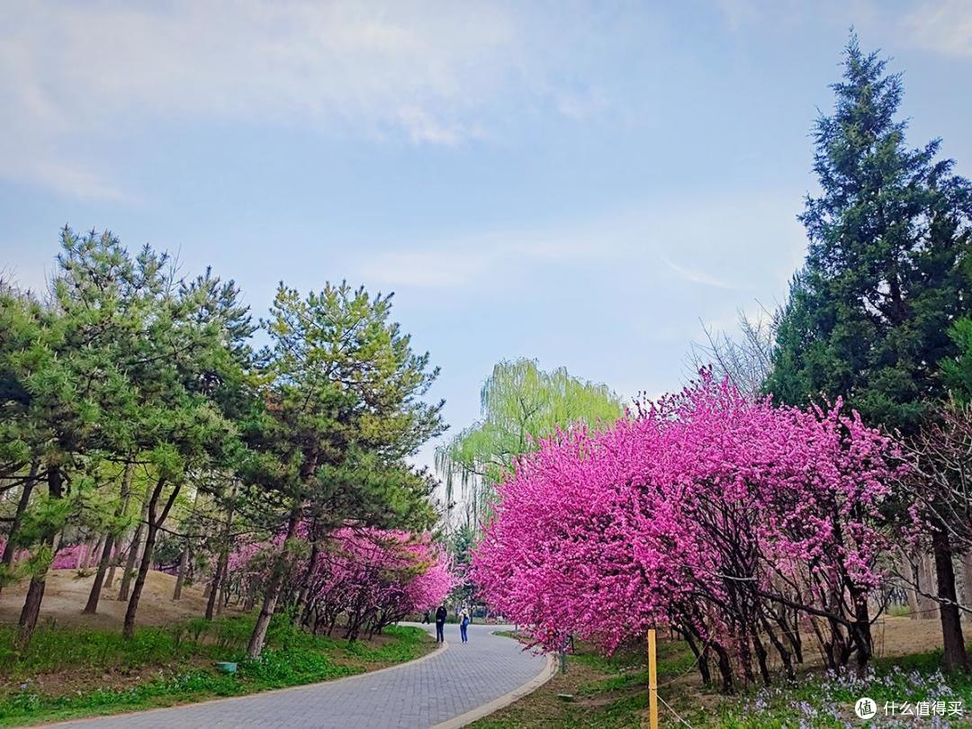 出游随拍,四月奥森公园南园特别适合跑步和踏青散心