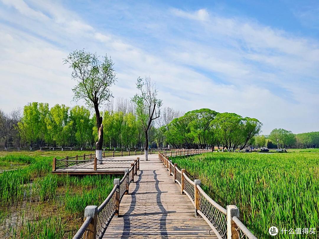出游随拍,四月奥森公园南园特别适合跑步和踏青散心