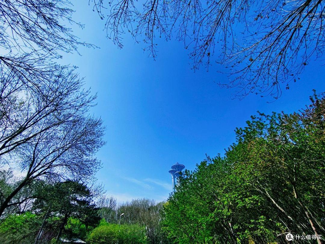出游随拍,四月奥森公园南园特别适合跑步和踏青散心