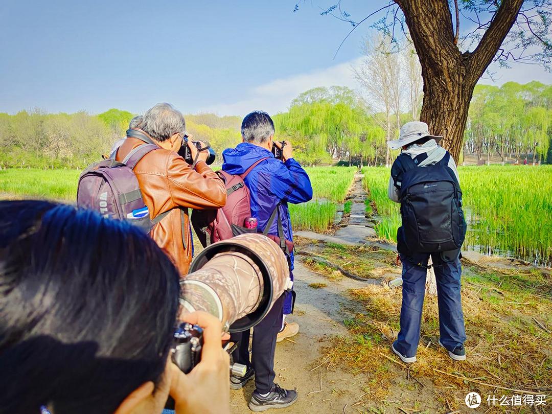 出游随拍，四月奥森公园南园特别适合跑步和踏青散心