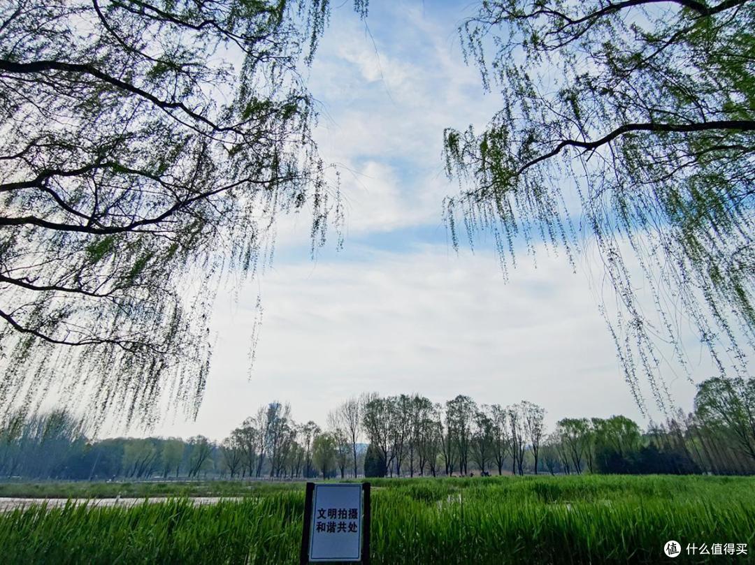 出游随拍,四月奥森公园南园特别适合跑步和踏青散心