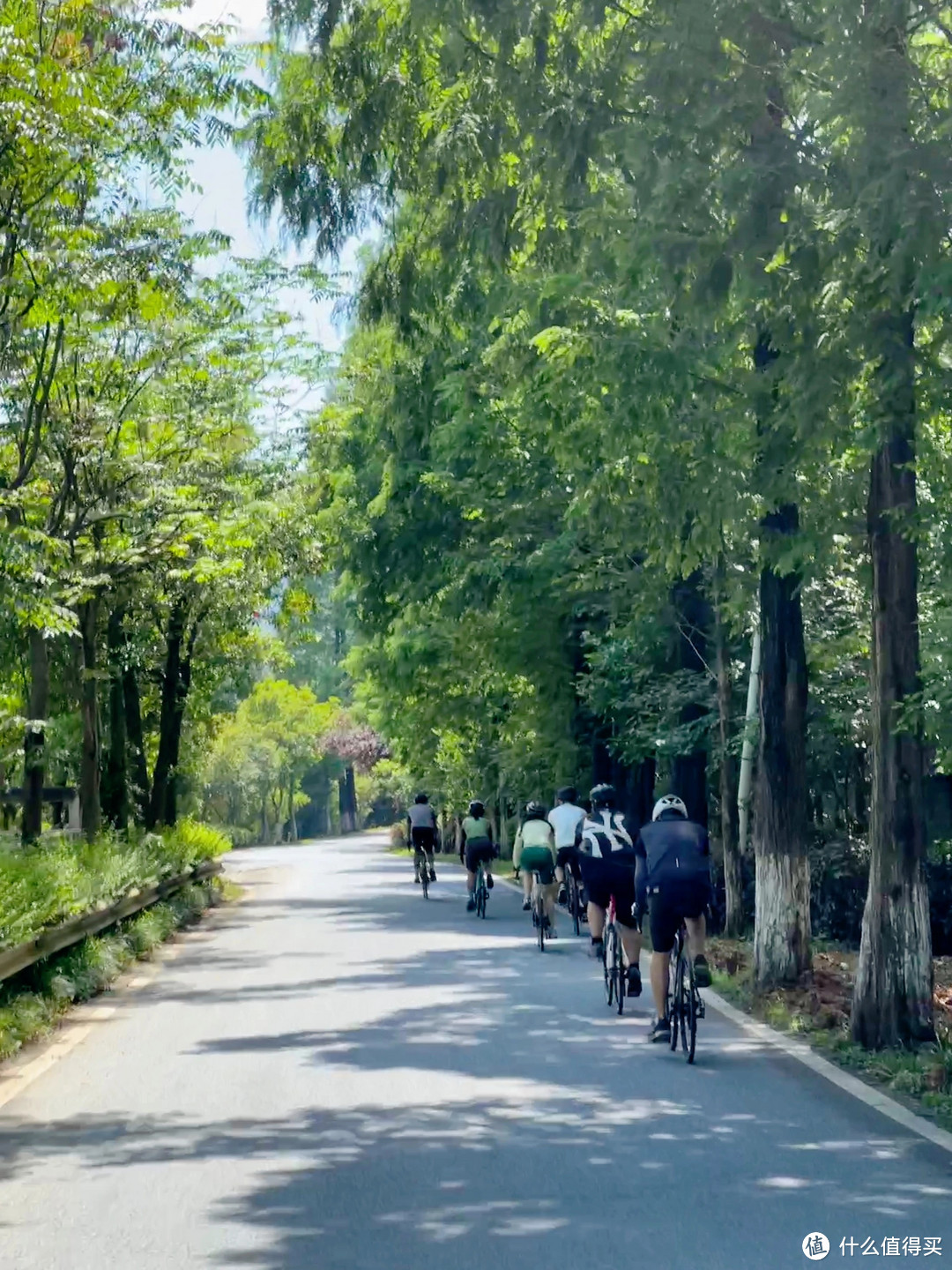 骑行路线｜从没想过🚴莫干山可以这么好骑‼