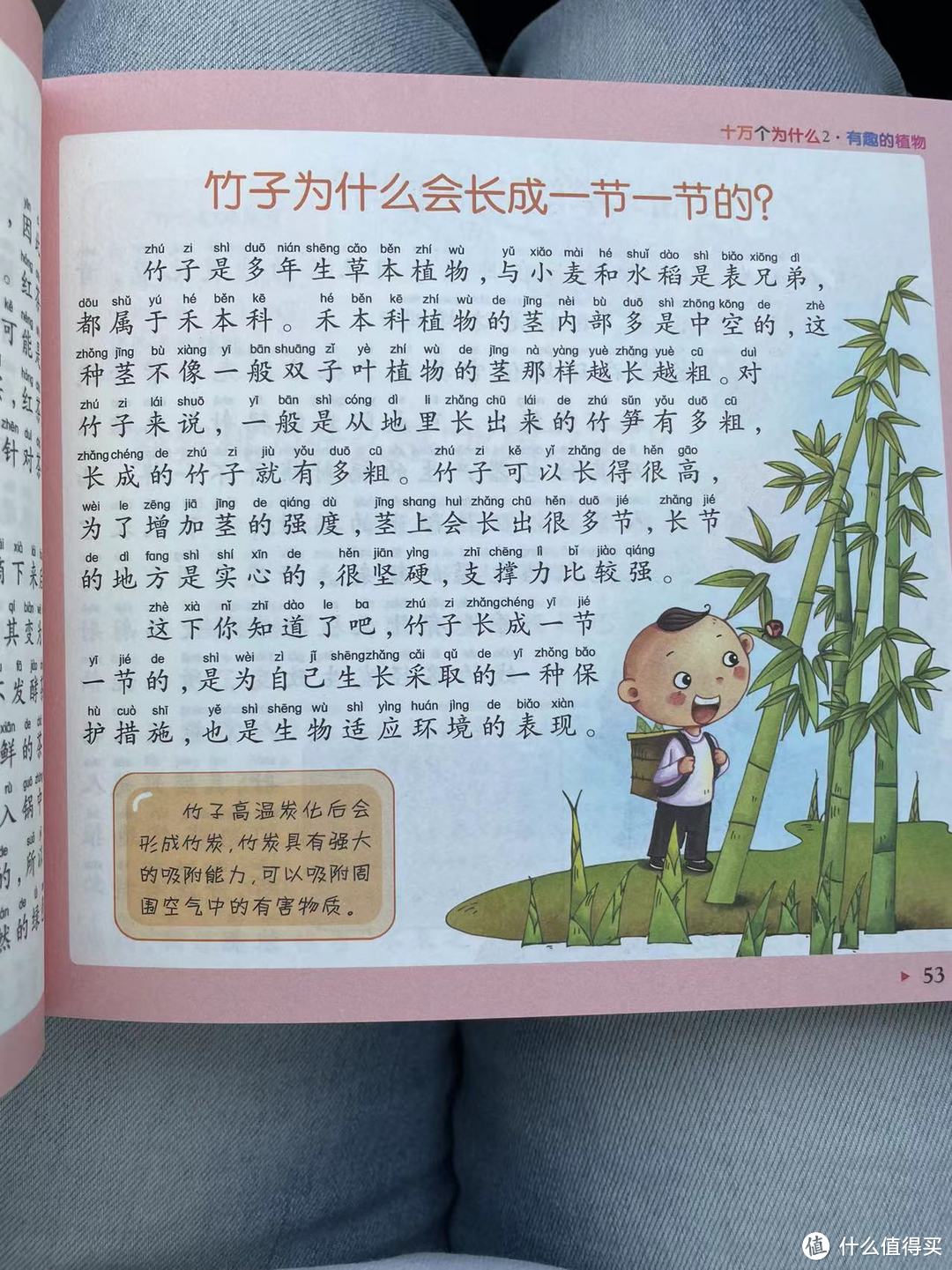 十万个为什么之竹子为什么会长成一节一节的?