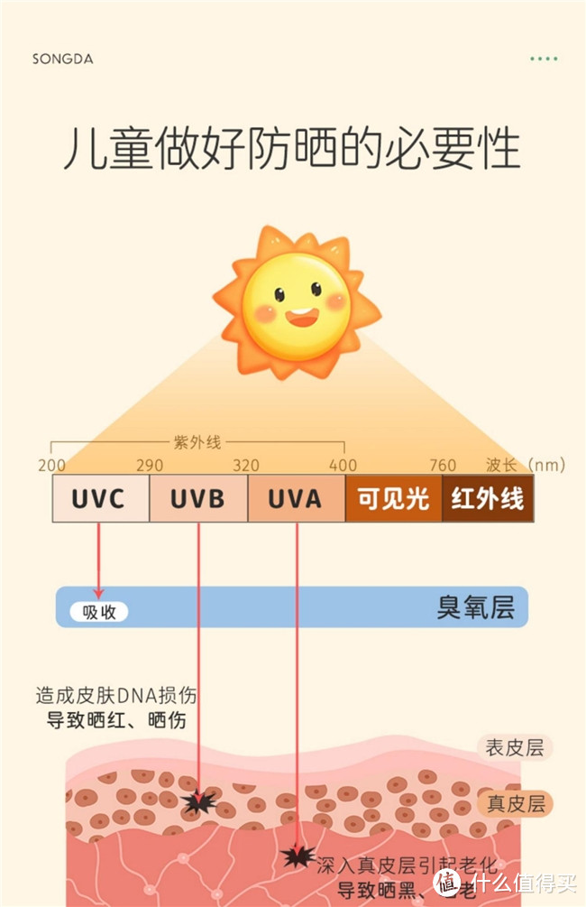 松达面霜，山茶油成分引领护肤新风尚，客户体验赞不绝口