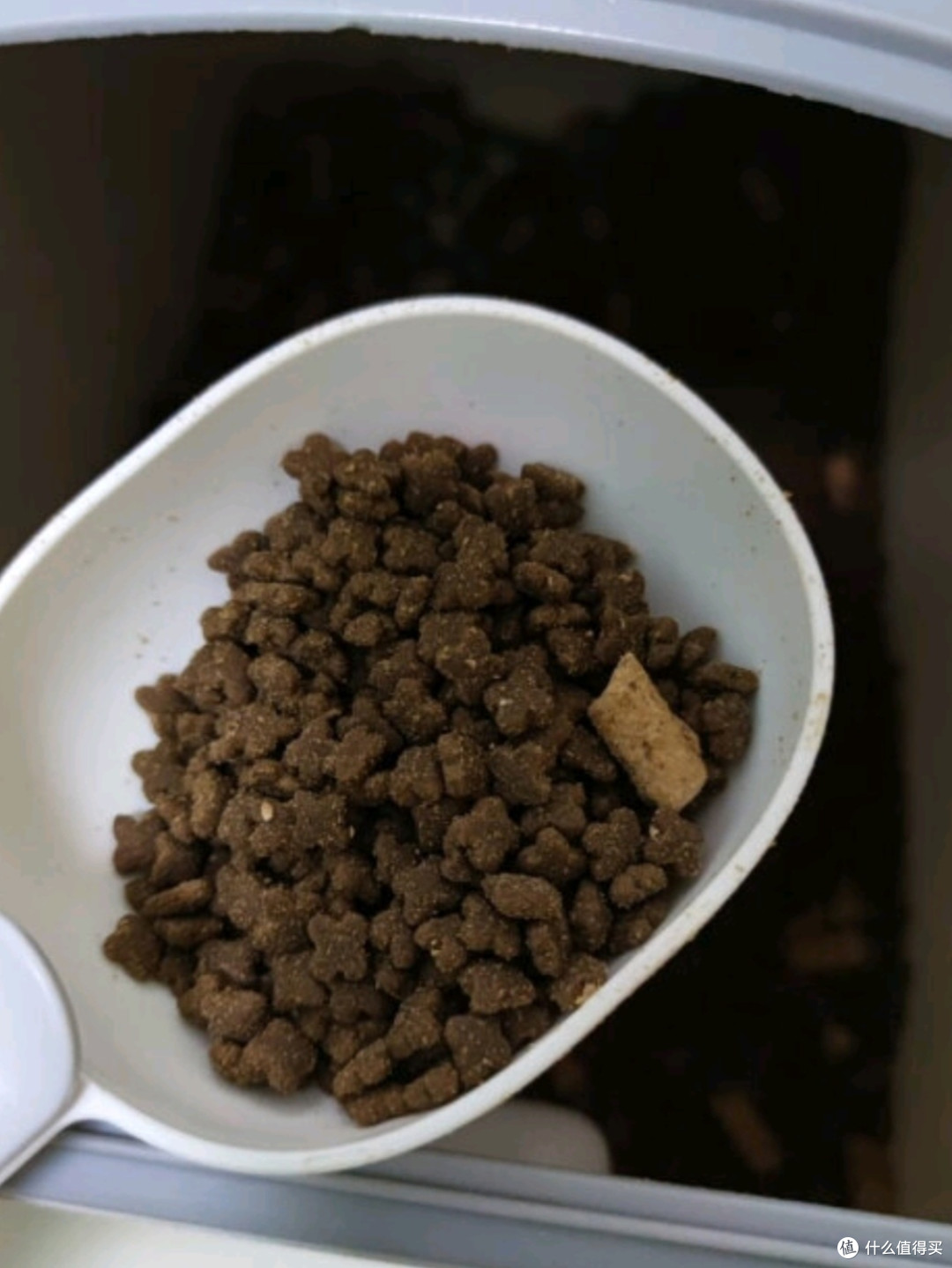 猫咪都喜欢吃的三文鱼猫粮