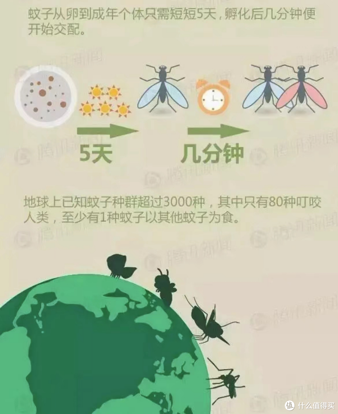 你了解蚊子吗，知道蚊子的生活习性吗，有哪些科学防蚊的方法呢？