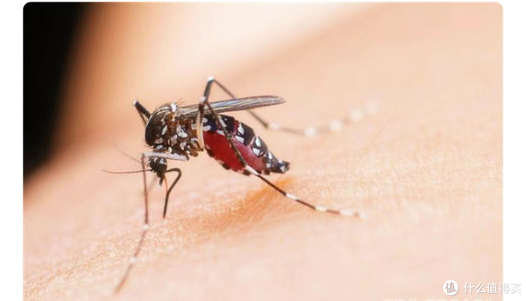 你了解蚊子吗，知道蚊子的生活习性吗，有哪些科学防蚊的方法呢？