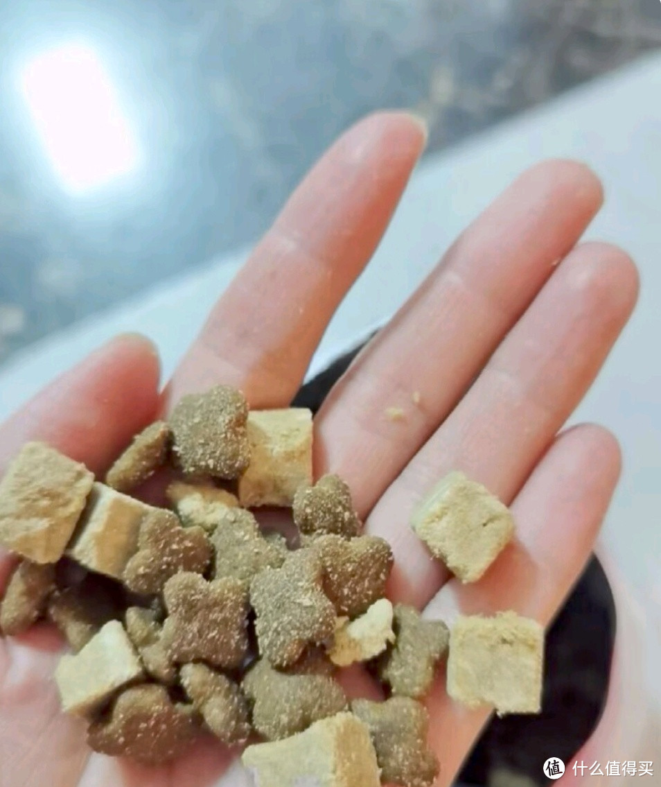 激发狗狗味蕾的狗粮