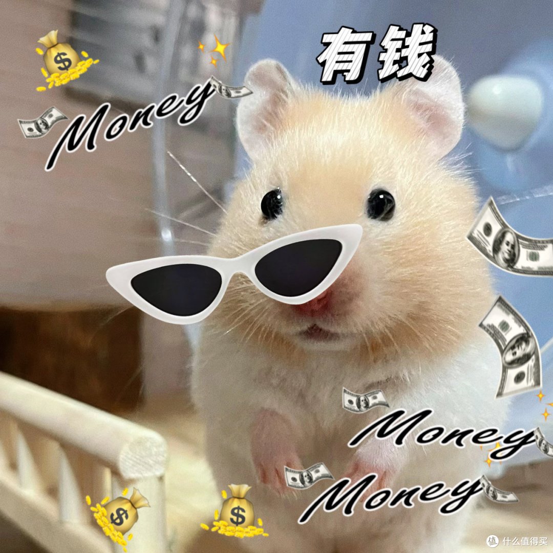 仓鼠吃什么好呢