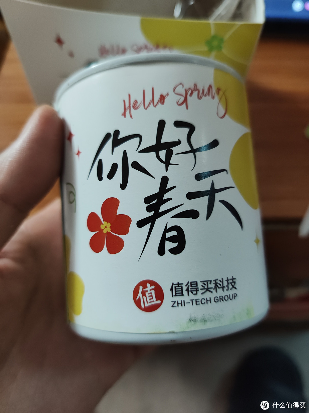 猫猫的宠物——猫草!