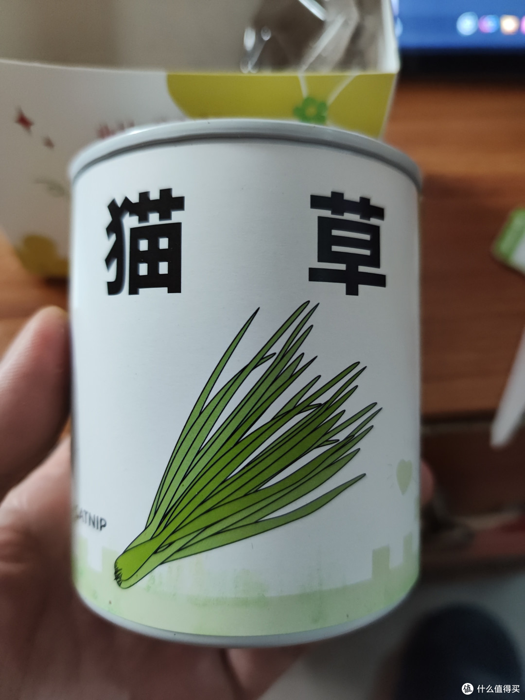 猫猫的宠物——猫草!