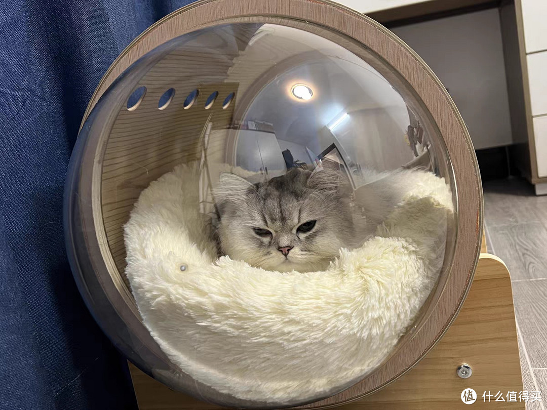 猫星人就要住太空舱