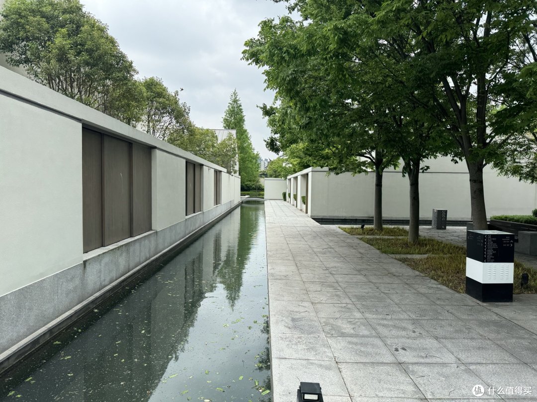 小徐の又双一次乌镇之行