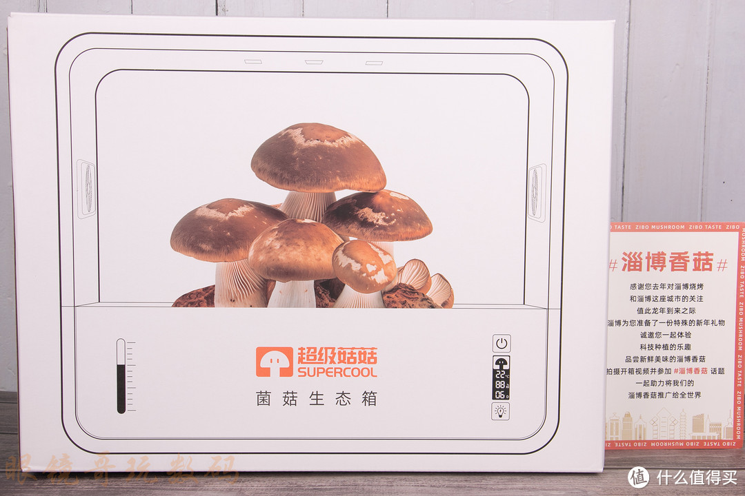 超级菇菇菌菇生态箱，和孩子一起见证蘑菇成长的快乐