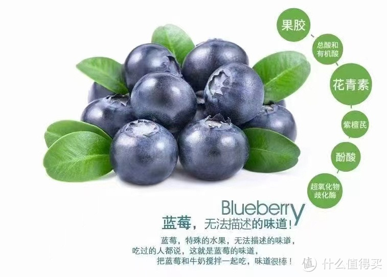 当季新鲜蓝莓上市，吃吃吃