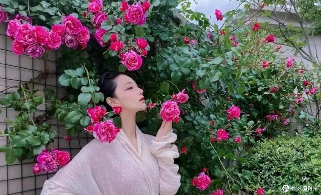张馨予的“日常生活”火了:在家养花种菜,把日子过成诗,好惬意