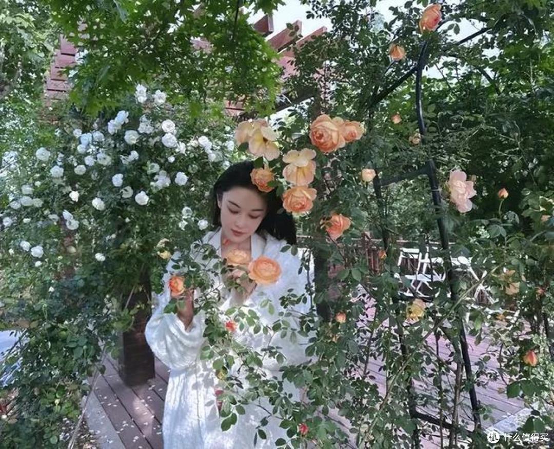 张馨予的“日常生活”火了:在家养花种菜,把日子过成诗,好惬意