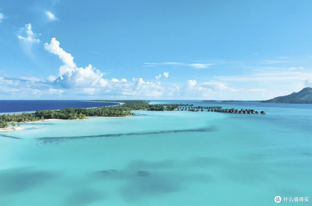 海胆,还有各种颜色的小鱼,甚至里面还有一只超级大的网红苏眉鱼,幸运