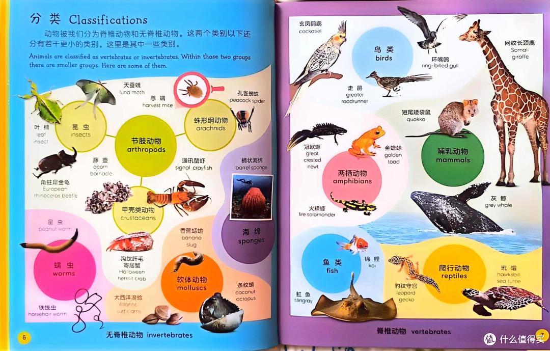 精彩的动物世界+动物英语词典的完美结合—《DK动物双语词汇1000》