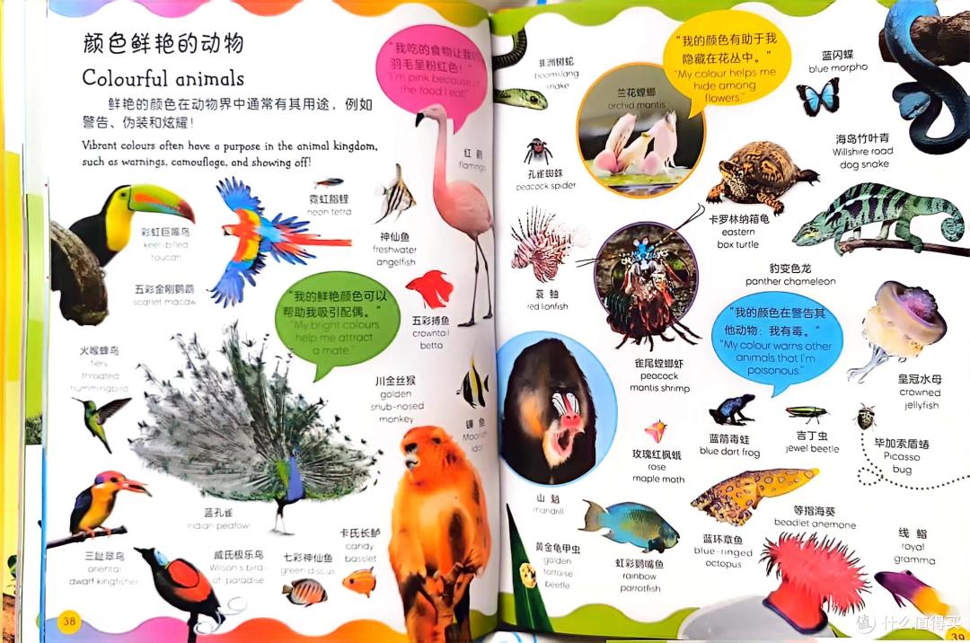 精彩的动物世界+动物英语词典的完美结合—《DK动物双语词汇1000》