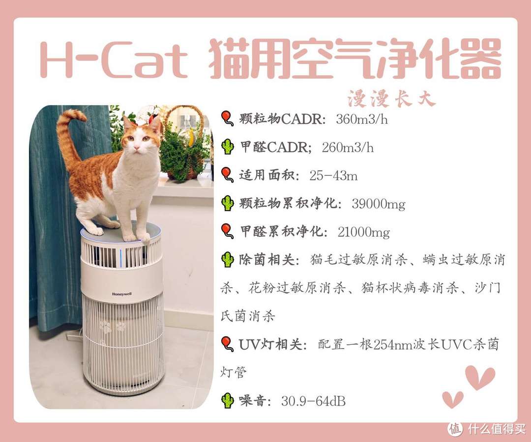 H-Cat猫猫搭子猫用空气净化器