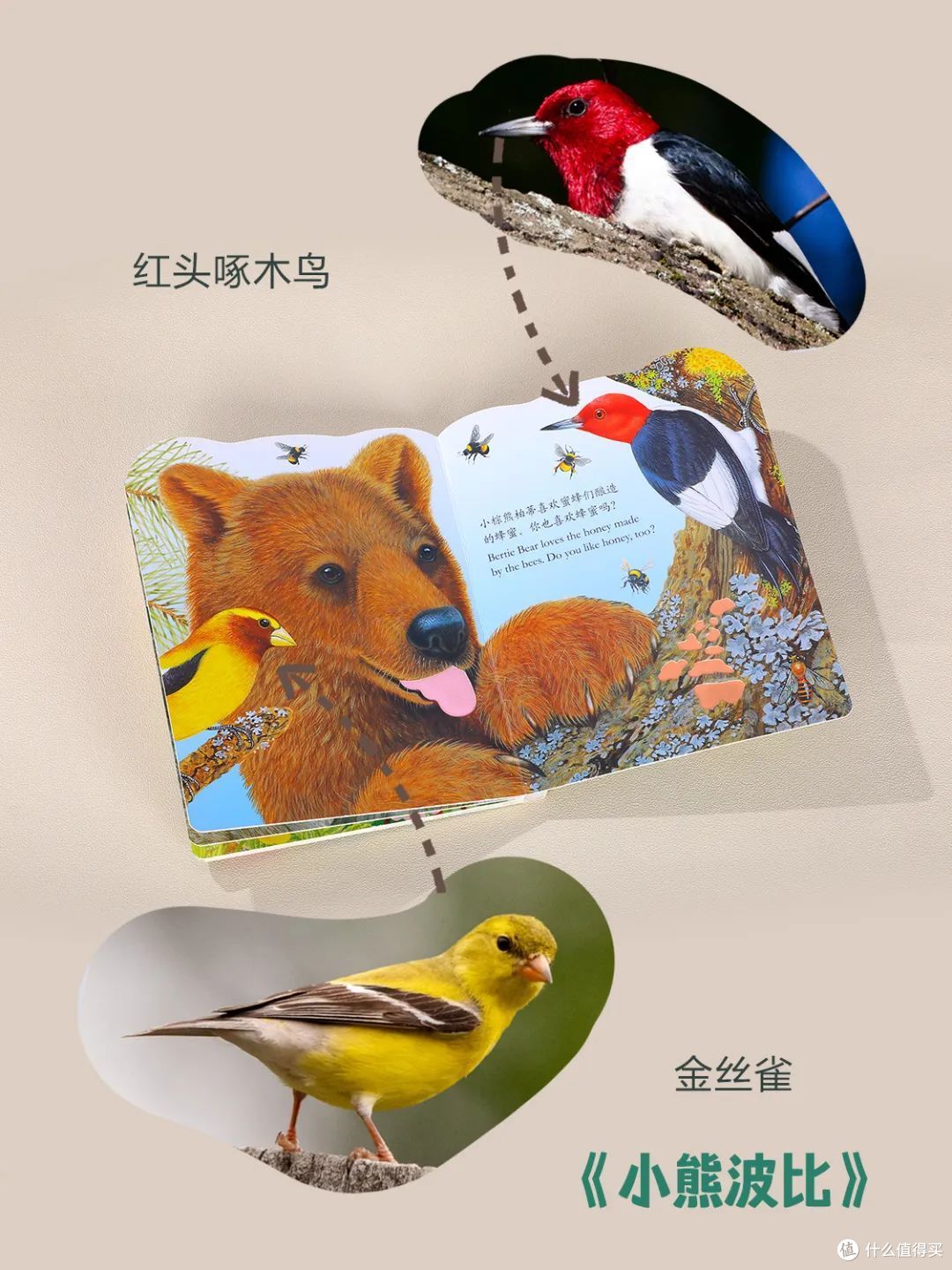 热卖12年的口碑触摸书里，竟还有你叫不上名的动植物？