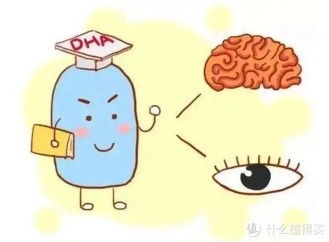 DHA是视网膜和大脑营养的重要一环