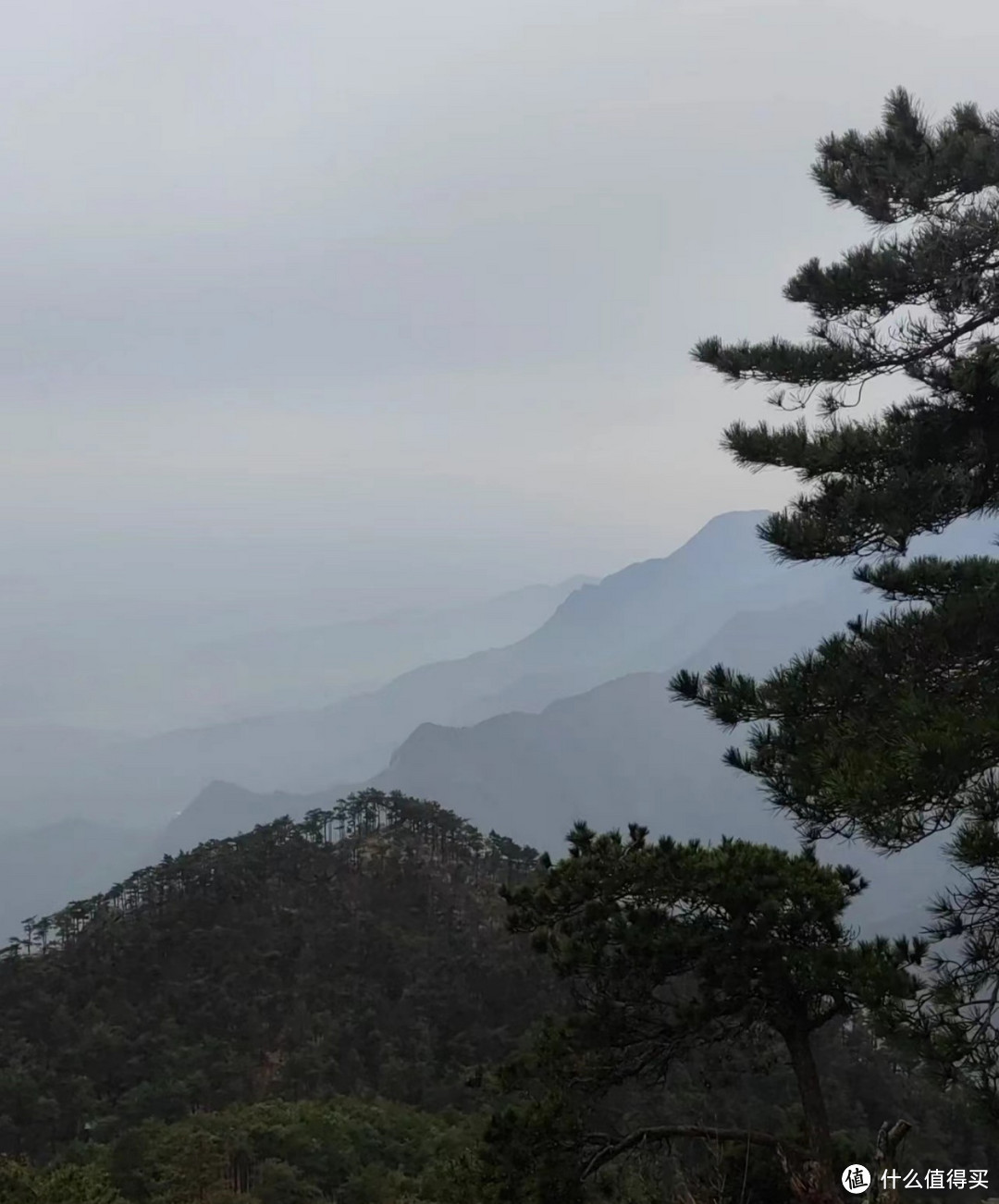 庐山两天一夜游，带你领略不一样的风景！