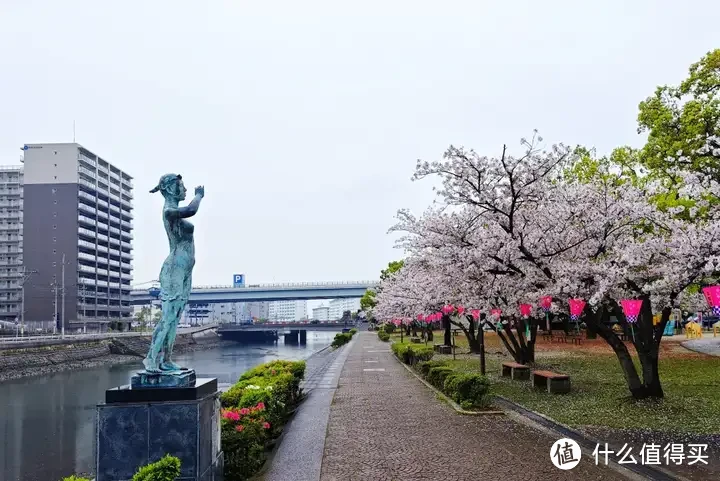 豪华邮轮就是旅行团抢饭？别扯了，我去坐了MSC地中海荣耀号，真实体验，来了！