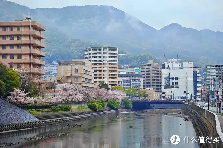 豪华邮轮就是旅行团抢饭？别扯了，我去坐了MSC地中海荣耀号，真实体验，来了！