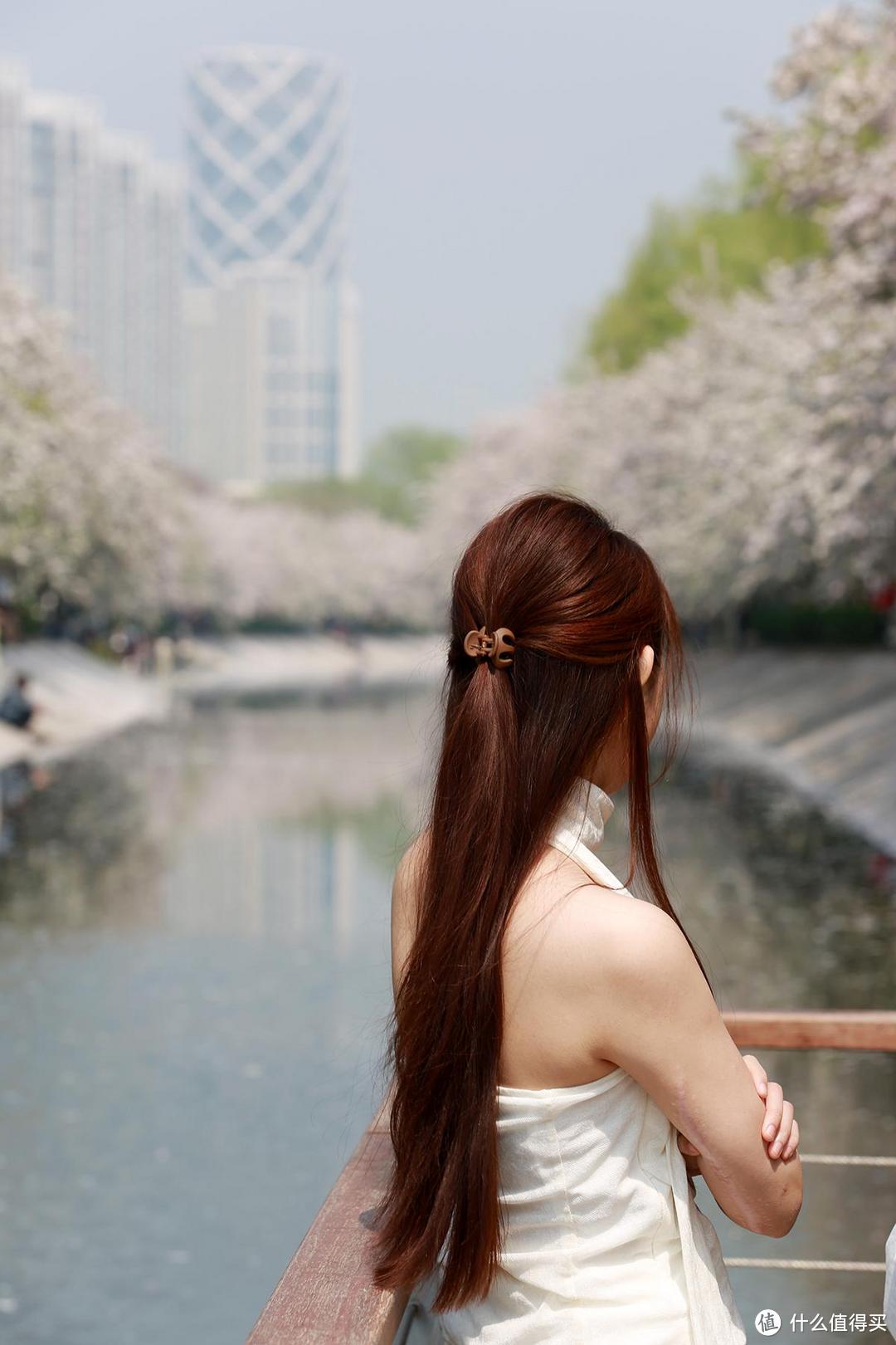 一镜走天下，北京春天追花的三处网红地游玩记录