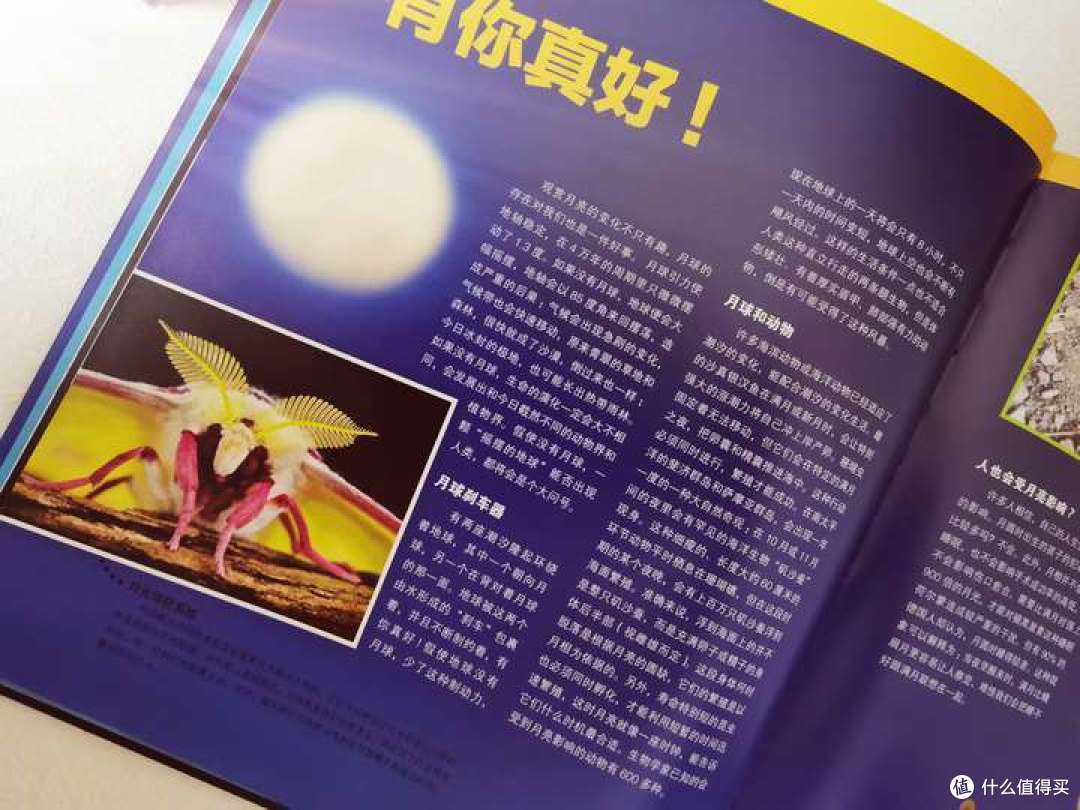 有哪些让人惊艳的少儿科普书,适合大人和孩子共读,值得收藏?