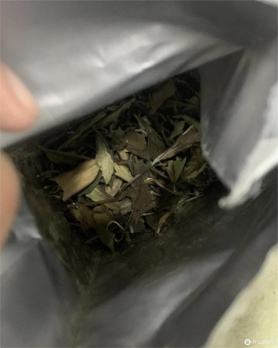 首次入手金馆长的白露寿眉
