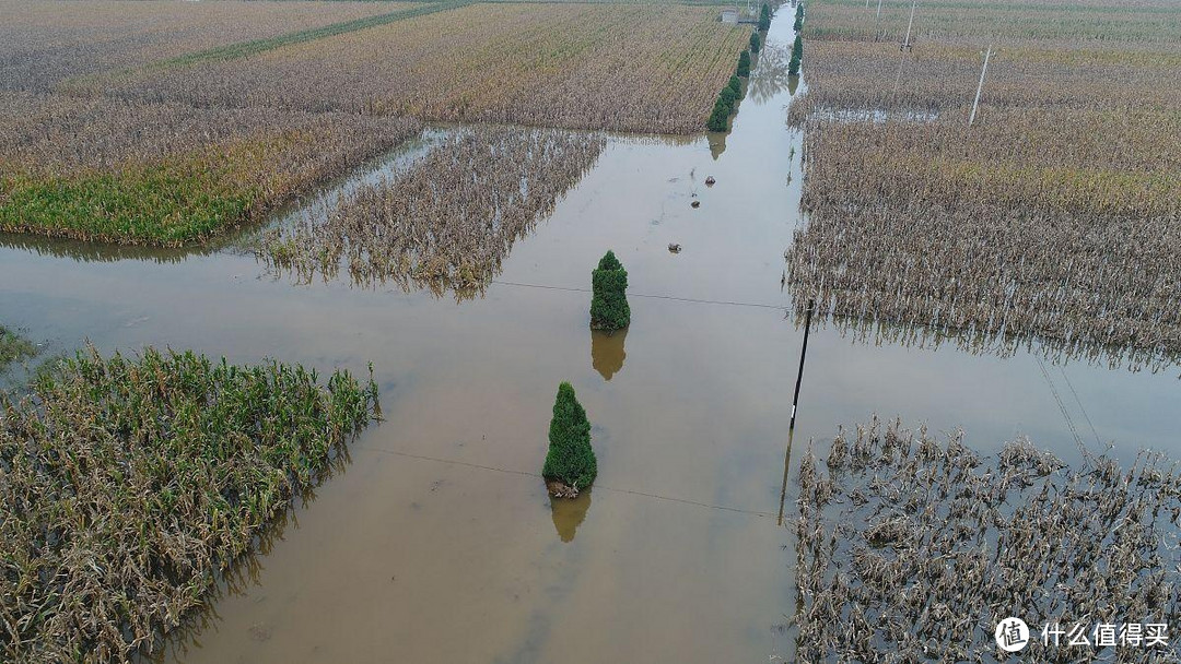 “端午夏至隔得开，三次大水并次来”，今年端午不一般，雨水多吗