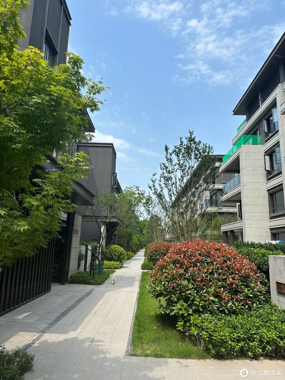 别墅不“香”了?有钱人纷纷逃离“别墅”,只因这4个坑实在难忍