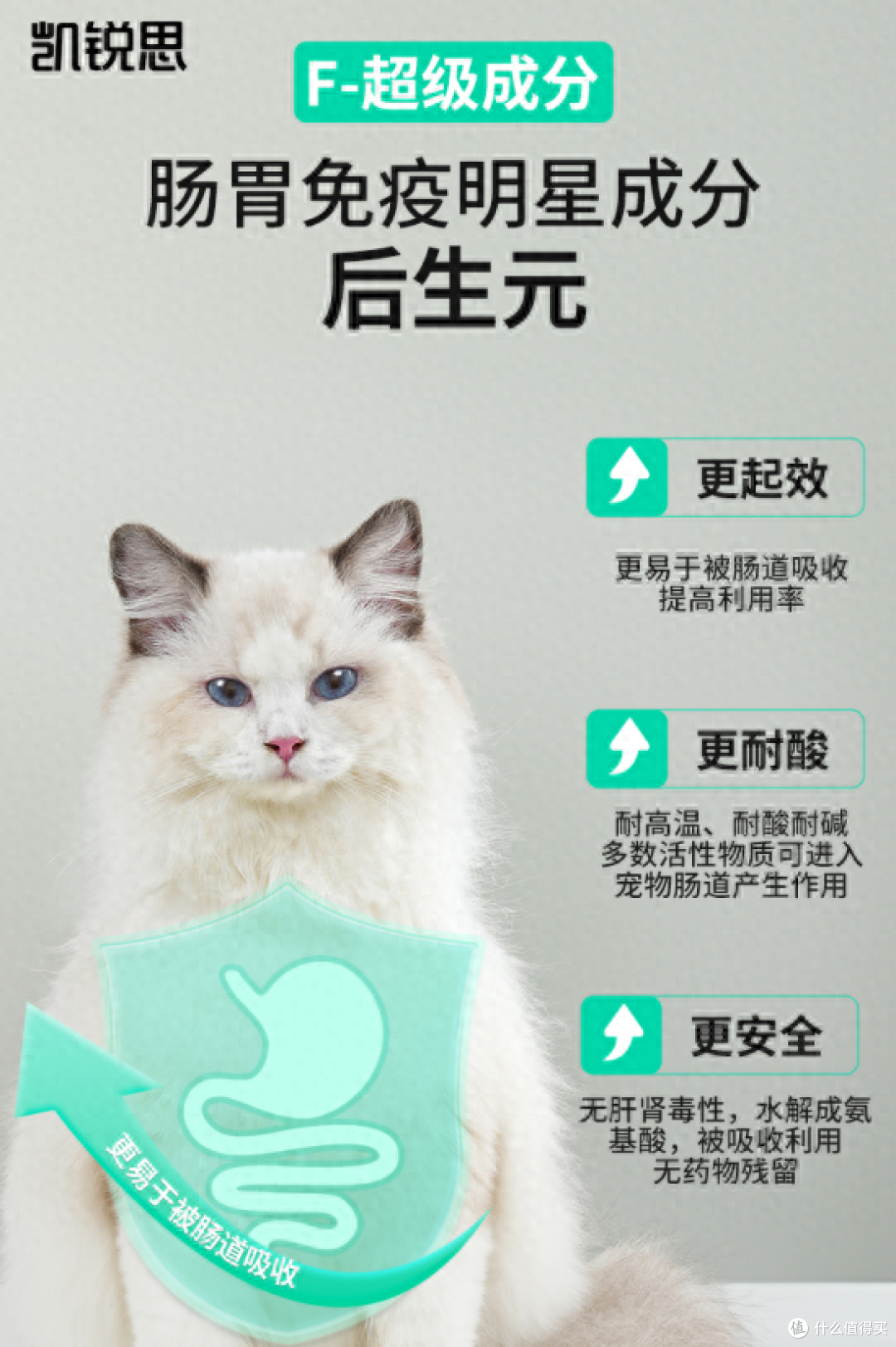 凯锐思聚焦人宠关系,讲述宠物生活新体验