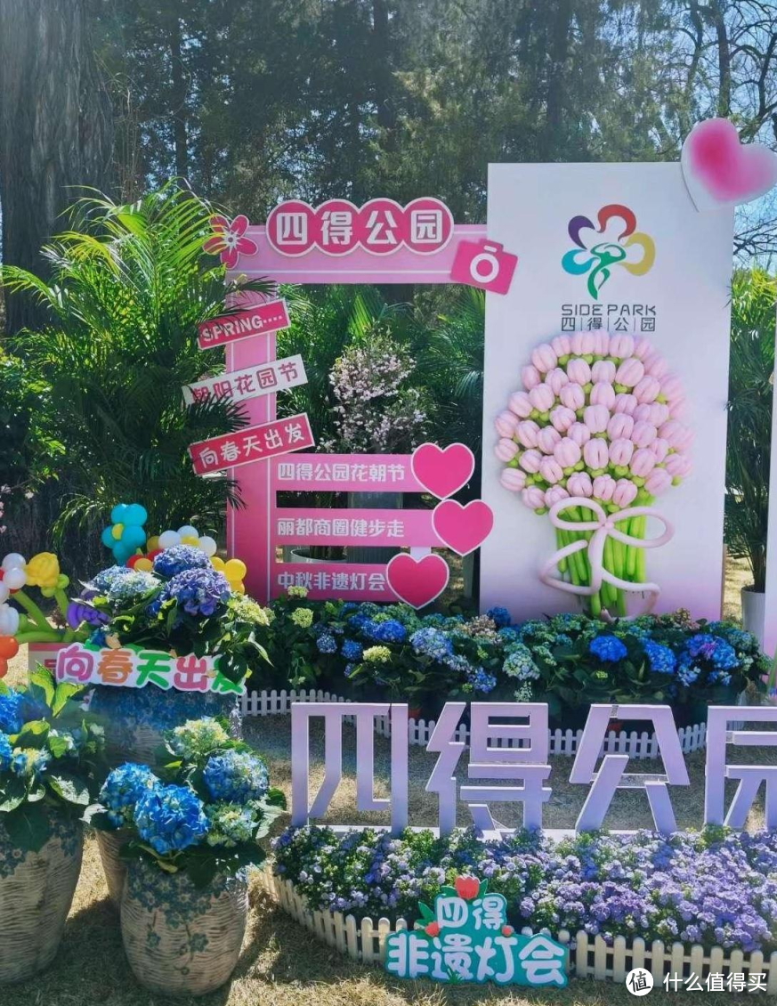 春游江淮 | 遇见花海， 郎溪第二届绣球花卉节即将开启