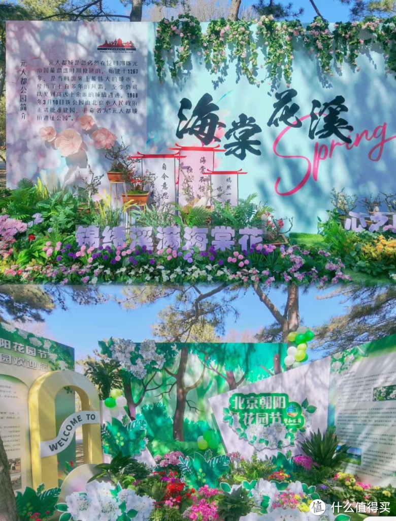 春游江淮 | 遇见花海， 郎溪第二届绣球花卉节即将开启