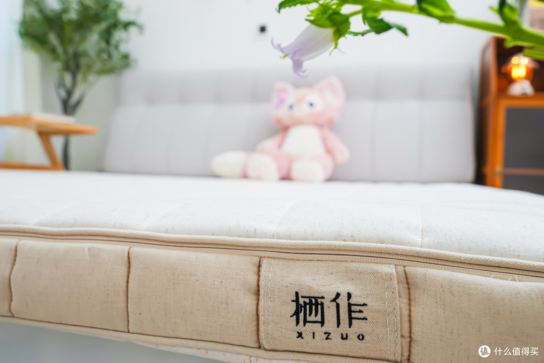 超薄床垫也Q弹!内置1440+个迷你气泡簧!9cm栖作奇遇小弹垫——榻榻米、客卧、儿童房的理想新方案!