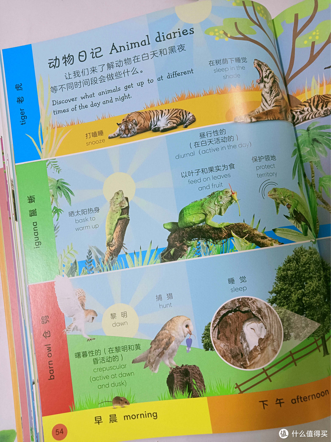 《DK动物双语词汇1000》：探索动物世界，轻松学习英语