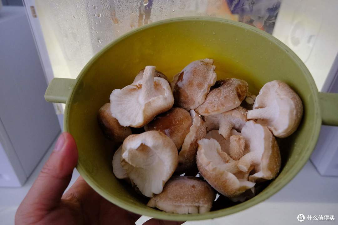 超级菇菇生态箱:桌面上的绿色农场,实现吃菇自由!